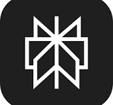 Perplexity-AI.webp
